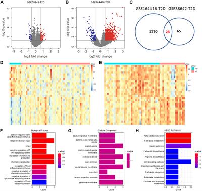 Dissecting genetic links between Alzheimer’s disease and type 2 diabetes mellitus in a systems biology way